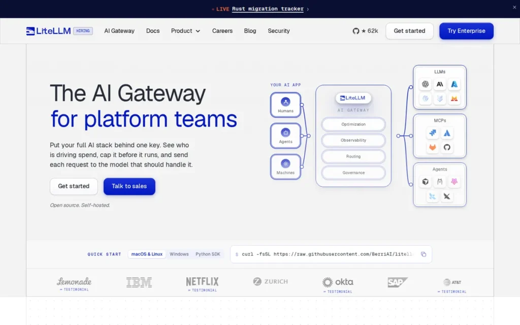 LiteLLM homepage screenshot
